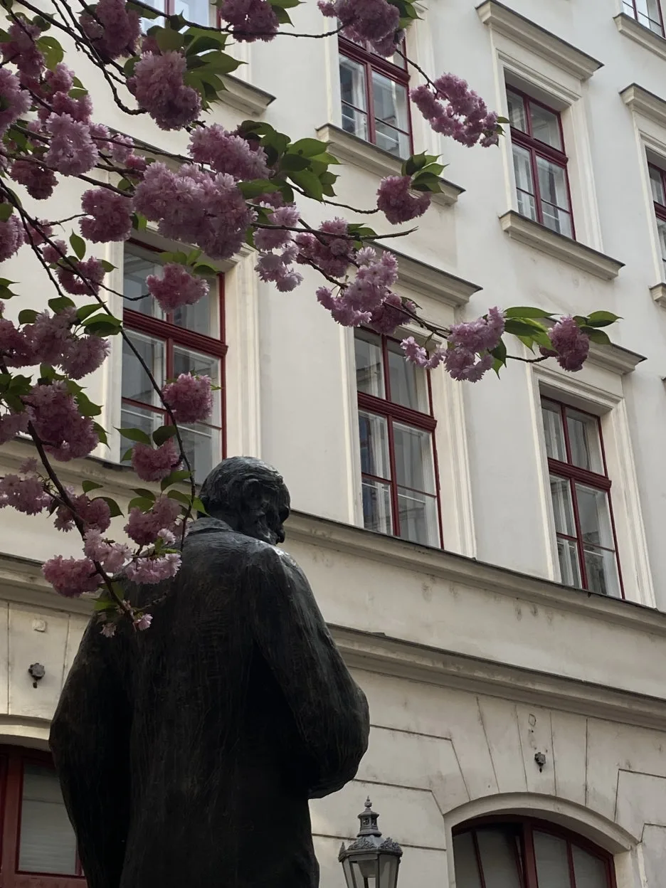 IMG_7425.JPG?type=w1