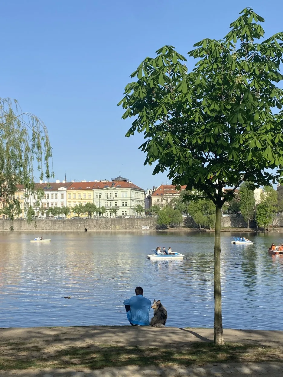 IMG_7546.JPG?type=w1