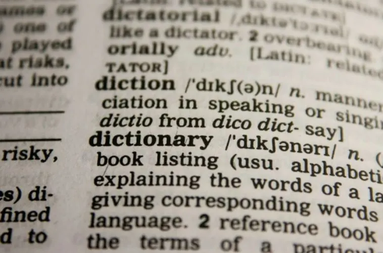 dasdsa.JPG?type=w966