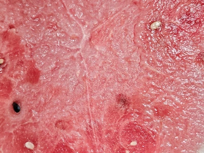 SE-8b38bfa2-9aa9-4822-89b1-264efb2104b5.jpg?type=w1