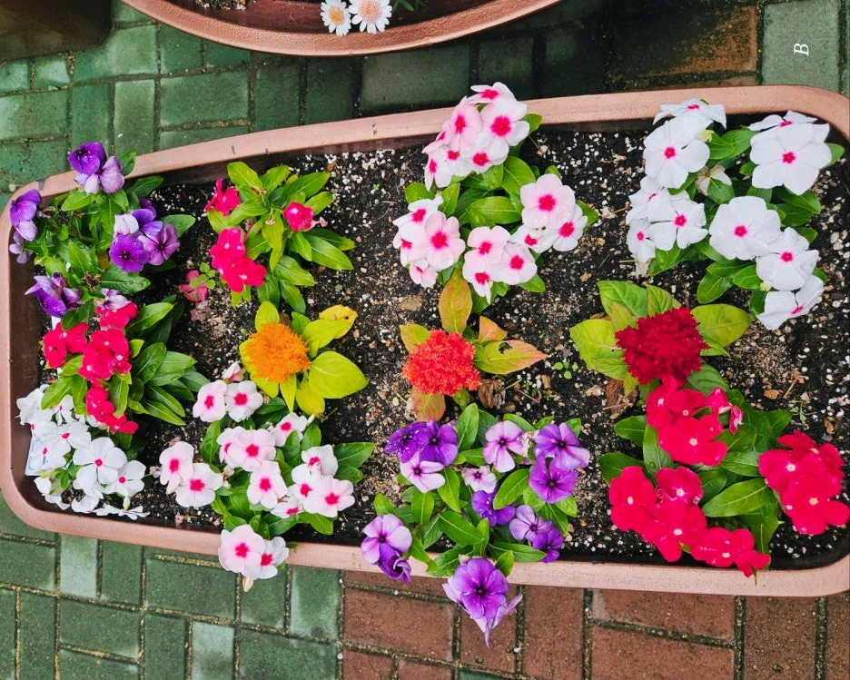 SE-4603146b-4609-4565-b805-88a84f5e2807.jpg?type=w1