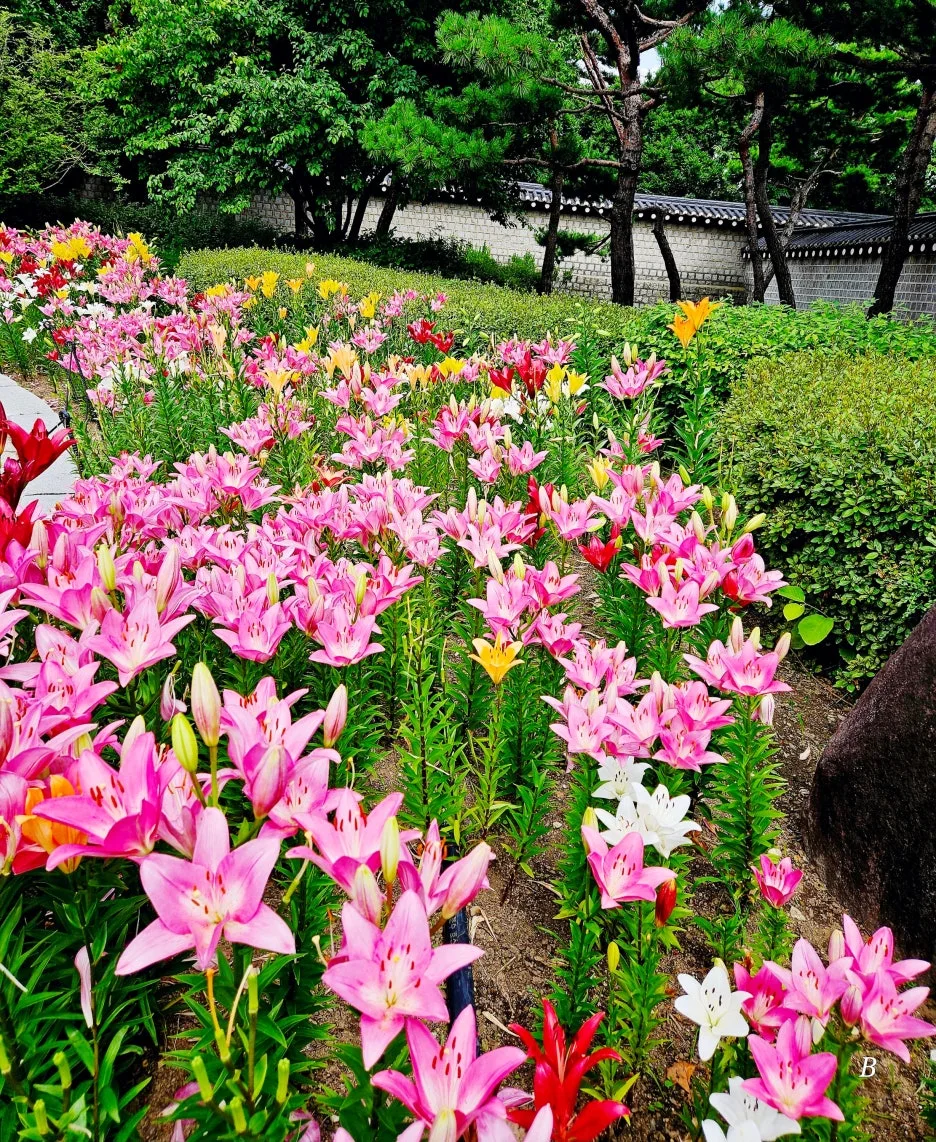 SE-92be6920-ea46-43f1-8fb3-1baa2aff9e59.jpg?type=w1