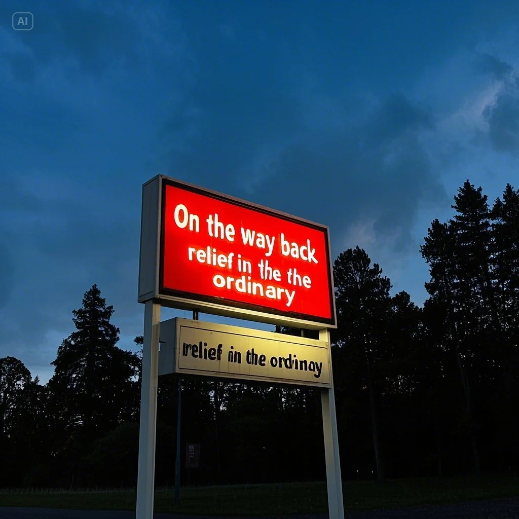 jimeng-2025-05-13-422-길가 가게 간판 불빛과 그림자감정_ ‘돌아가는 길, 평범함 속 안도감’.jpeg