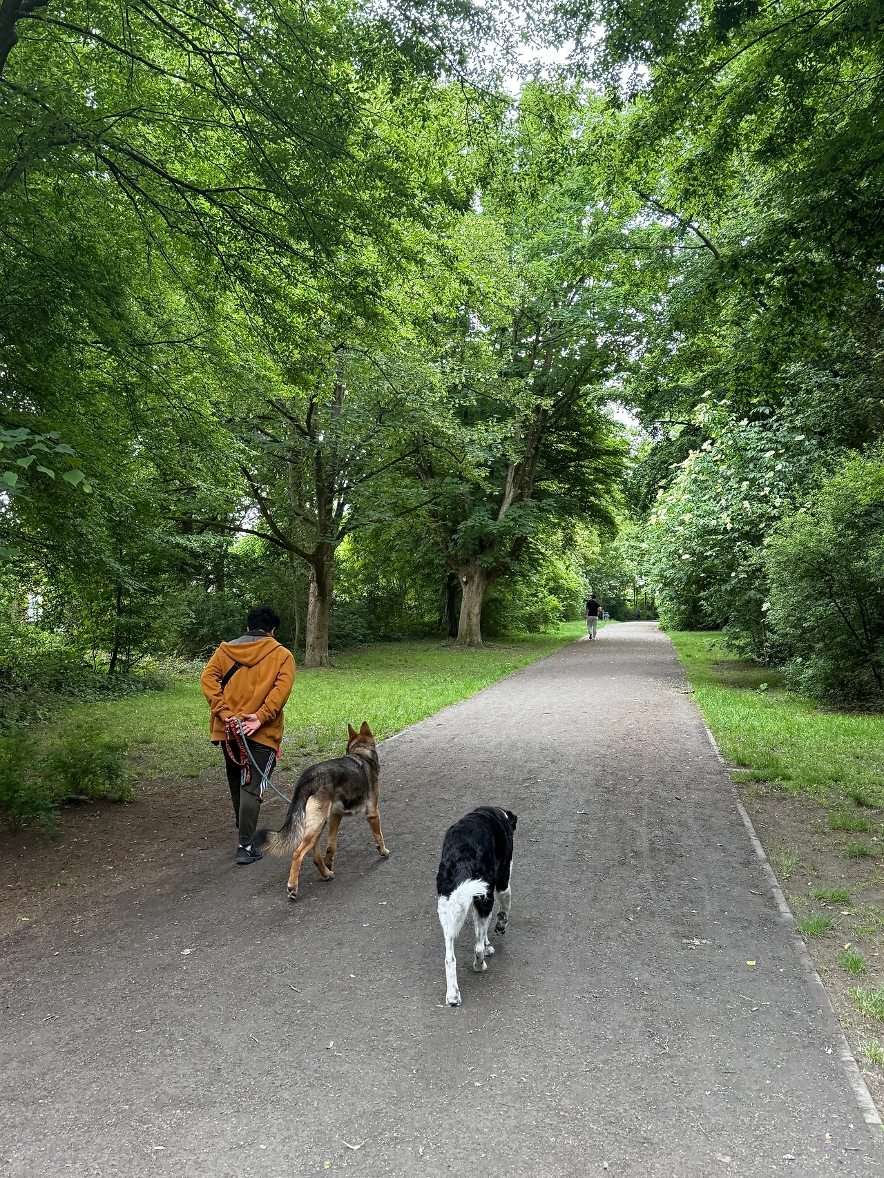 KakaoTalk_Photo_2025-06-28-00-40-20 004.jpeg