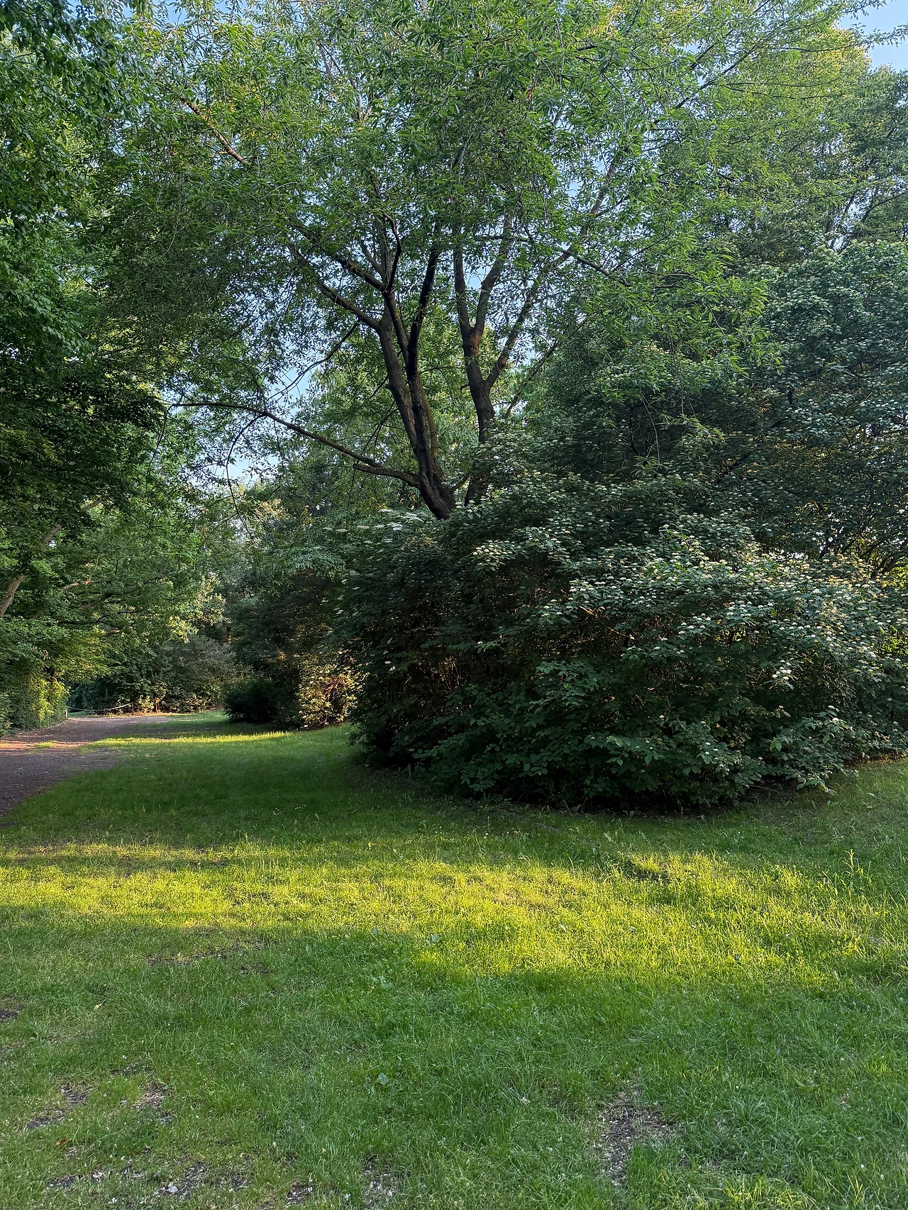 KakaoTalk_Photo_2025-06-28-00-40-04 001.jpeg