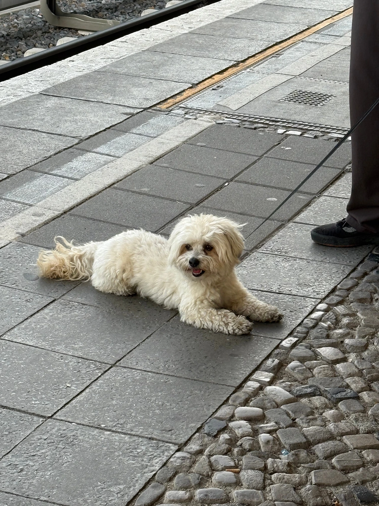 KakaoTalk_Photo_2025-06-28-00-40-27 006.jpeg