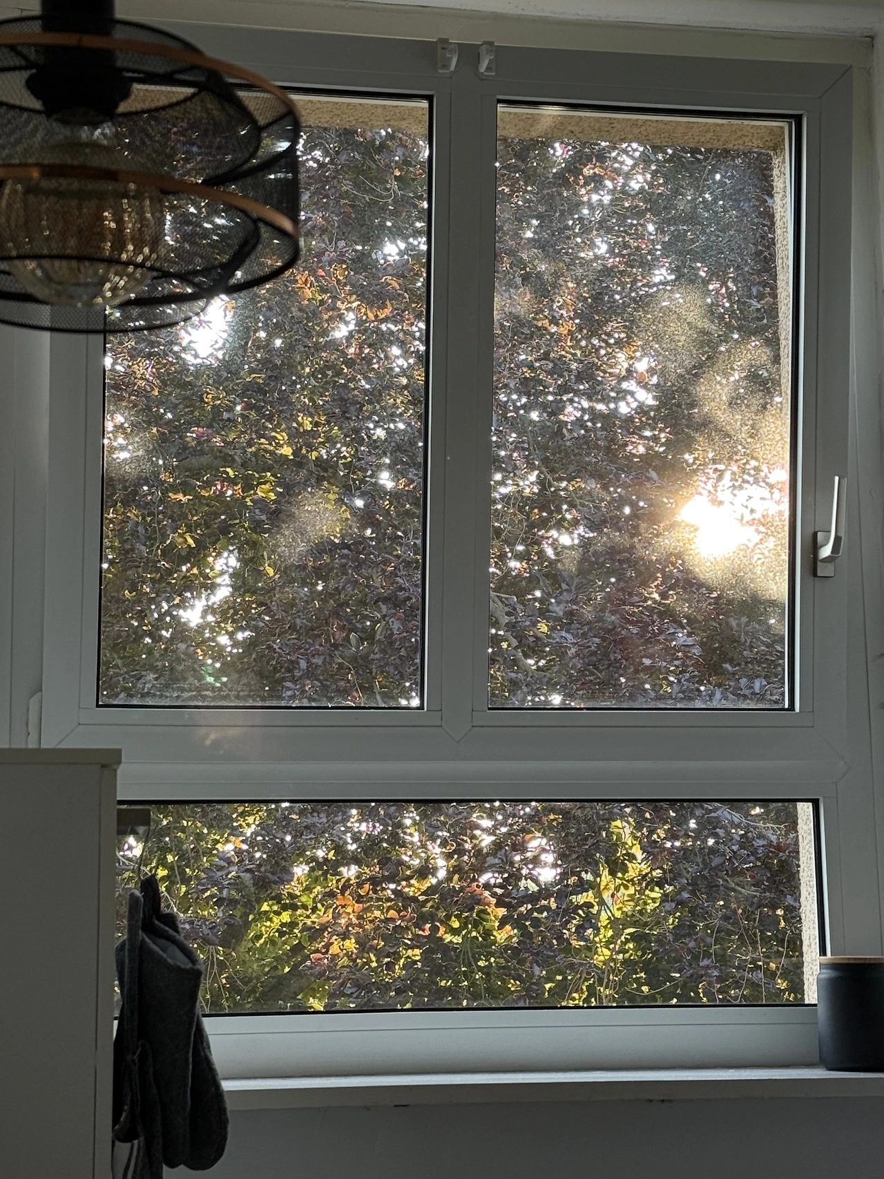 KakaoTalk_Photo_2025-06-28-00-40-24 005.jpeg