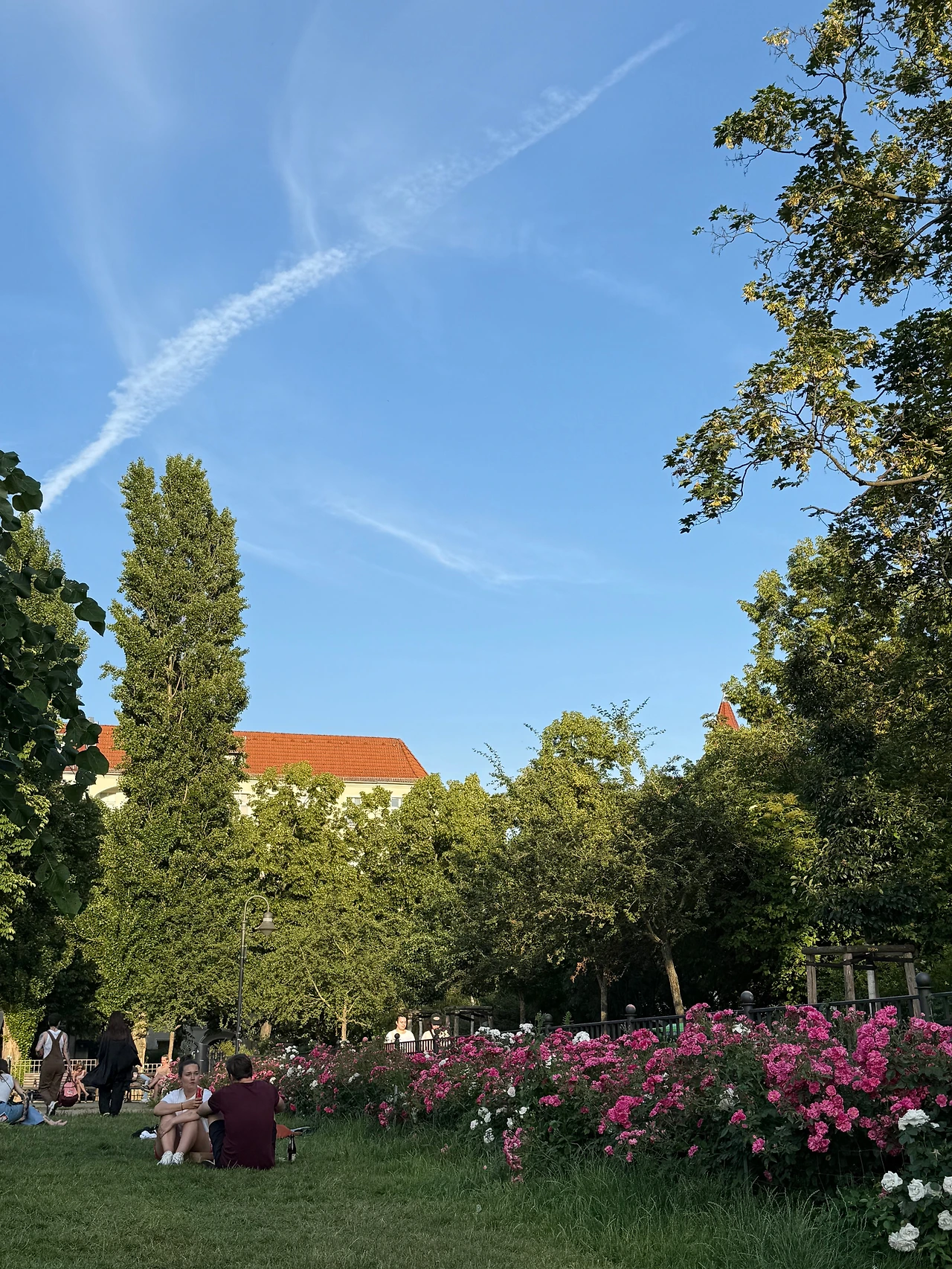 KakaoTalk_Photo_2025-06-25-00-33-10 002.jpeg