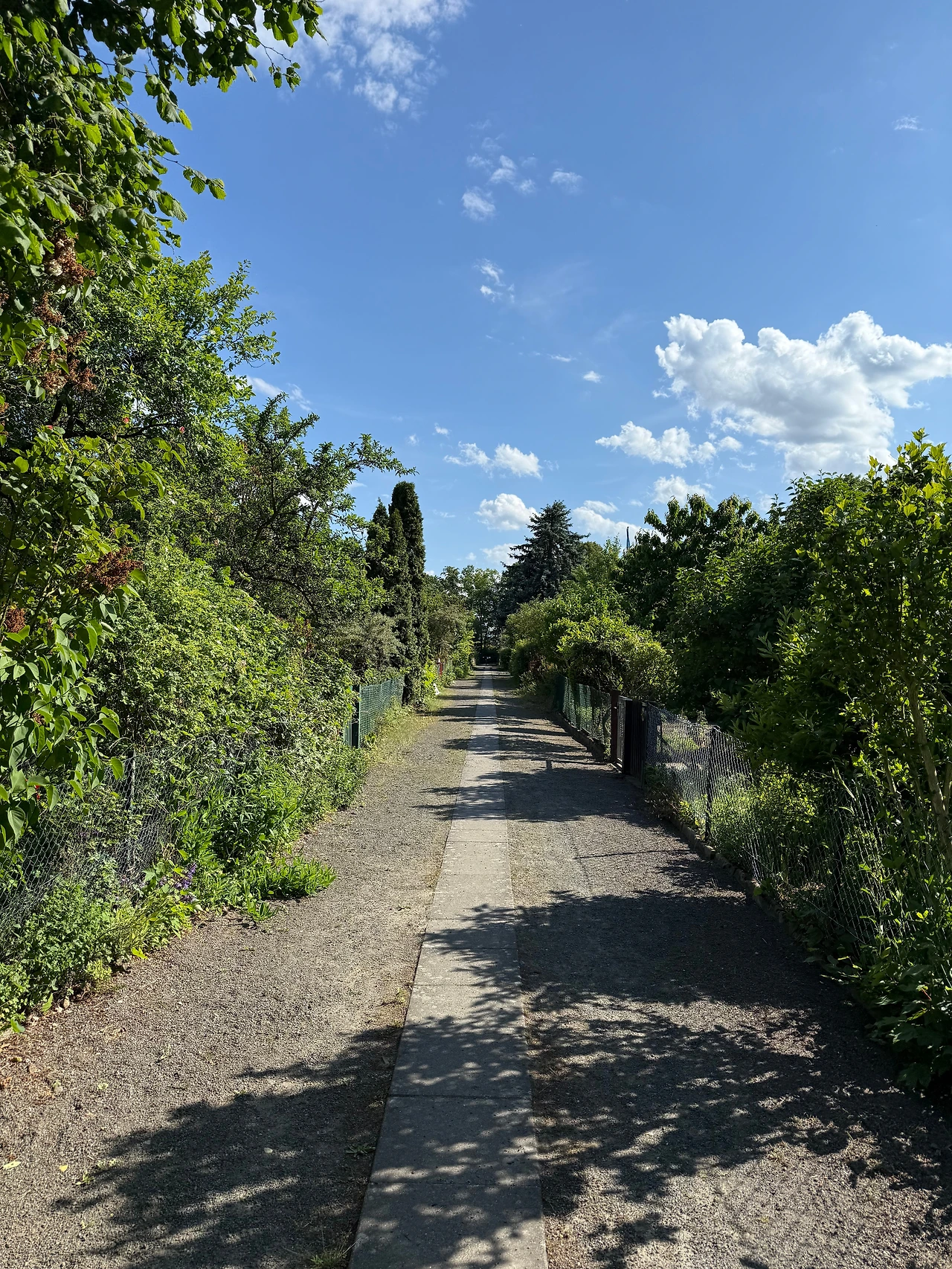 KakaoTalk_Photo_2025-06-28-00-40-14 003.jpeg