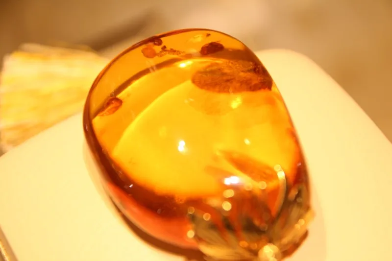 IMG_7126.jpg?type=w800