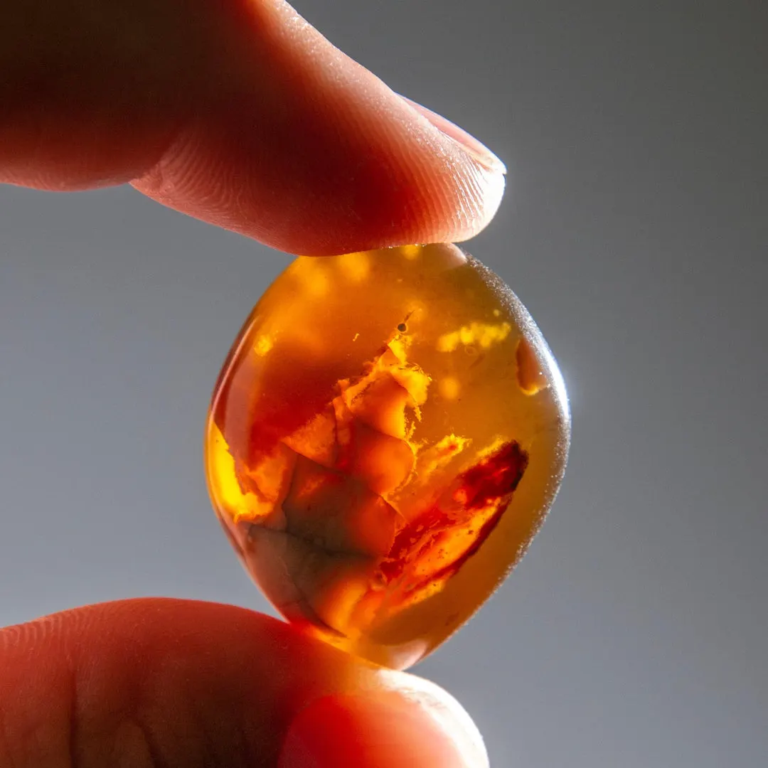 ambermacro_energymuse_1_1080x.jpg?v=1684355672