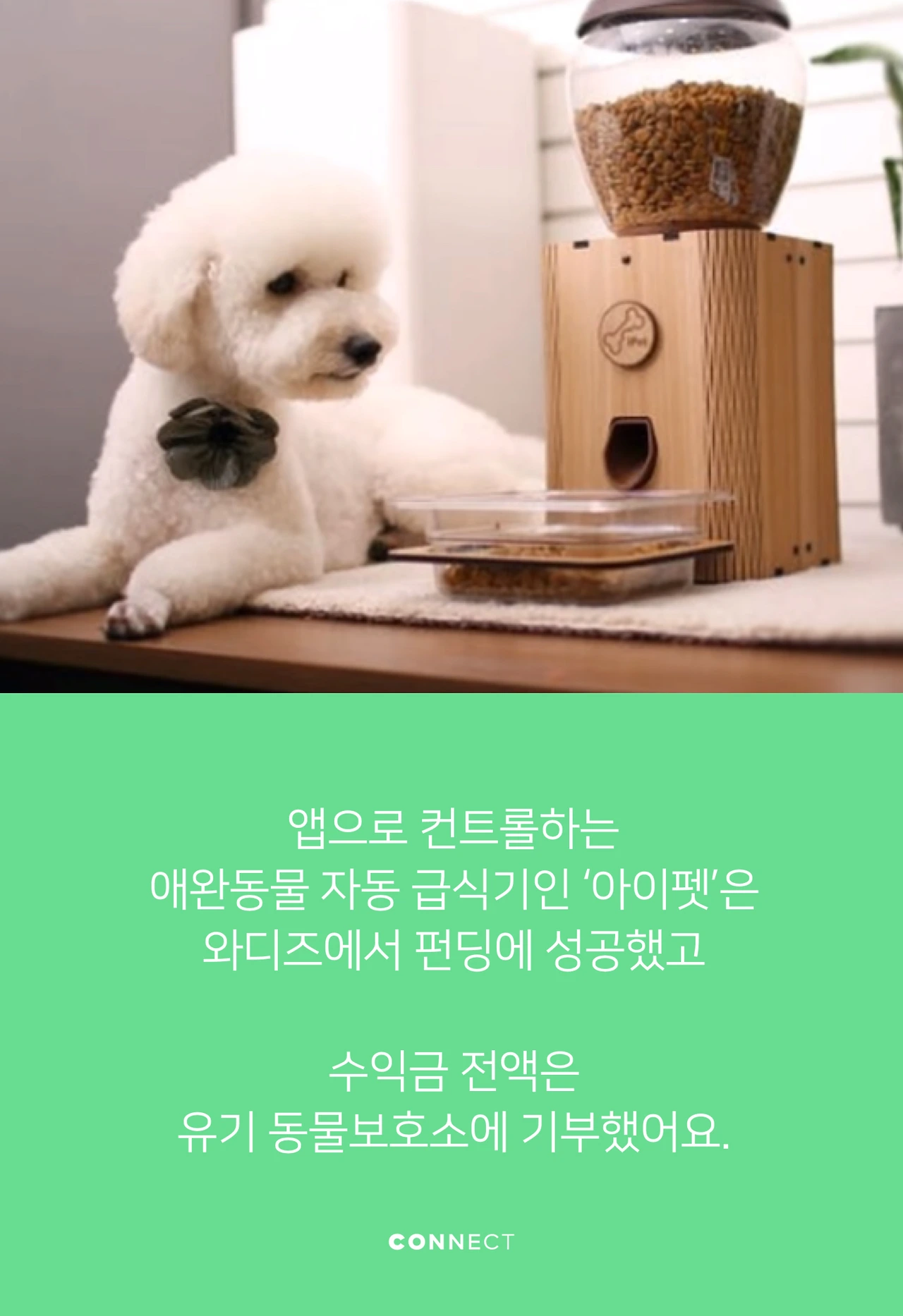 SEF 2018__뗡뀿_뚡뀸_メ꼮___뗡뀯_끷뀿____■꼱__꼦___뗡뀹_됣뀿_솽꼺__SEF 2018__뗡뀿_뚡뀸_メ꼮___뗡뀯_끷뀿____■꼱__꼦___뗡뀹_됣뀿_솽꼺__014.jpeg