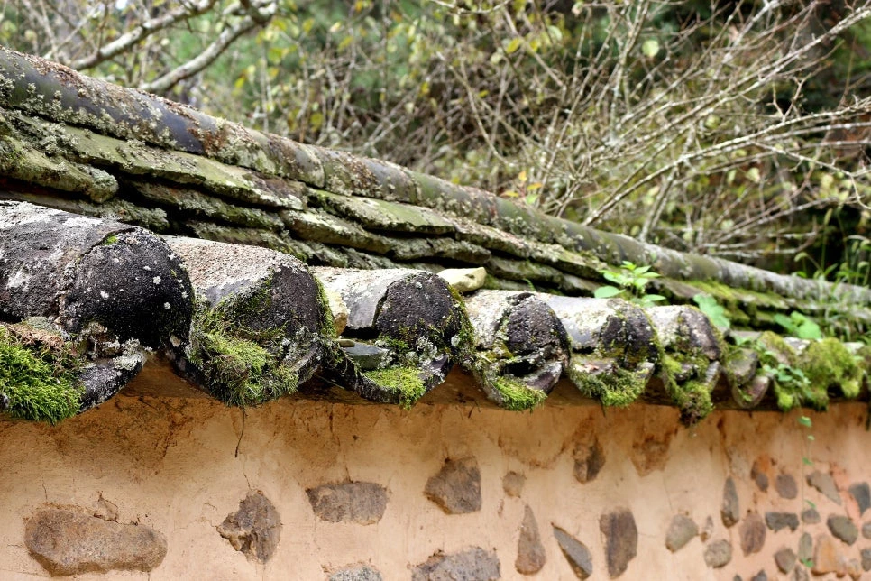 img.jpg?credential=yqXZFxpELC7KVnFOS48ylbz2pIh7yKj8&expires=1761922799&allow_ip=&allow_referer=&signature=0YC5MCGLtNOdvUHh%2BcD3ZQahOFk%3D