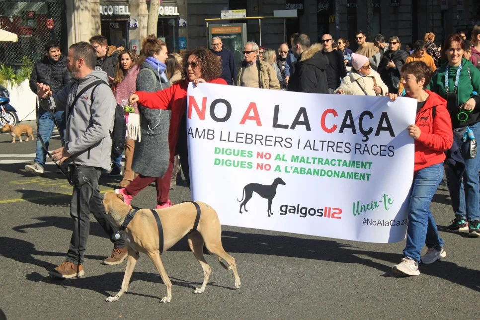 %EA%BE%B8%EB%AF%B8%EA%B8%B0IMG_7258.JPG?type=w966