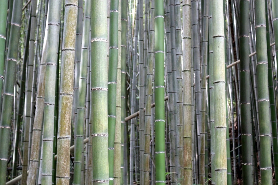 img.jpg?credential=yqXZFxpELC7KVnFOS48ylbz2pIh7yKj8&expires=1761922799&allow_ip=&allow_referer=&signature=WcnF2N6SxGnGHU6yyv2c17xNJ%2FU%3D