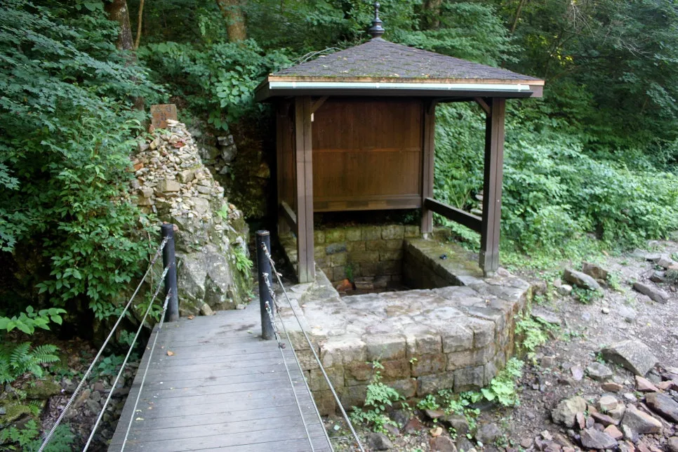 %EA%BE%B8%EB%AF%B8%EA%B8%B0%EA%BE%B8%EB%AF%B8%EA%B8%B0IMG_8651.JPG?type=w966