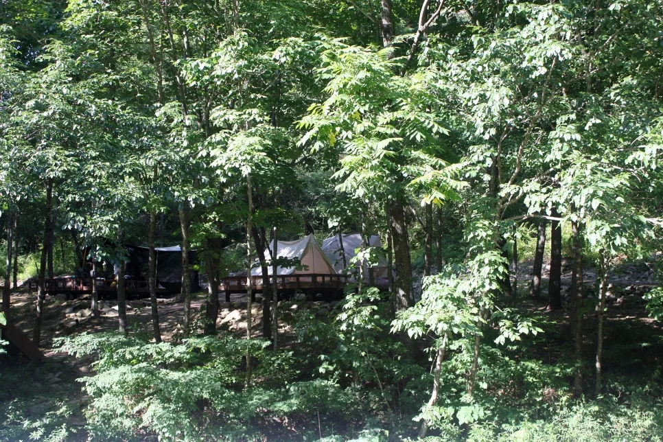 %EA%BE%B8%EB%AF%B8%EA%B8%B0%EA%BE%B8%EB%AF%B8%EA%B8%B0IMG_8614.JPG?type=w966