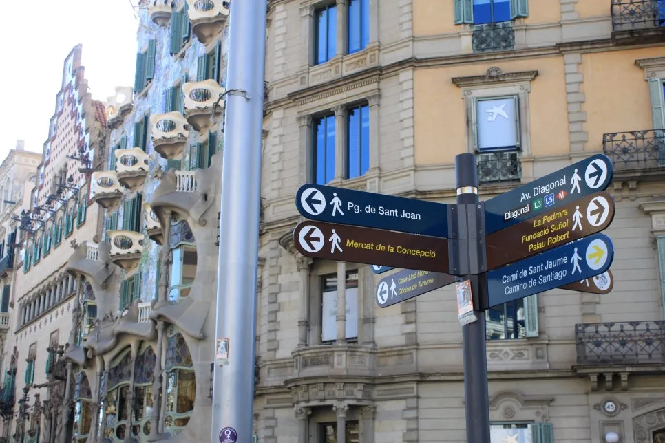 %EA%BE%B8%EB%AF%B8%EA%B8%B0IMG_7215.JPG?type=w966