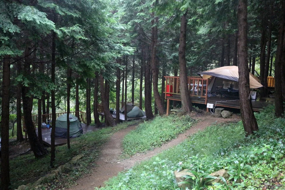 %EA%BE%B8%EB%AF%B8%EA%B8%B0IMG_6412.JPG?type=w966