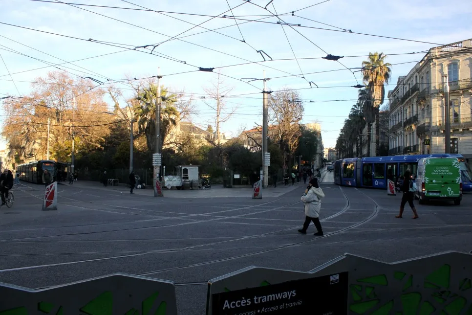 IMG_6576%EC%88%98%EC%A0%95.JPG?type=w966