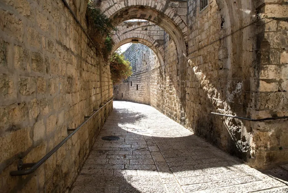 %EA%BE%B8%EB%AF%B8%EA%B8%B0b7d8d1a1db7b232d77df0d36f878f692.jpg?type=w966