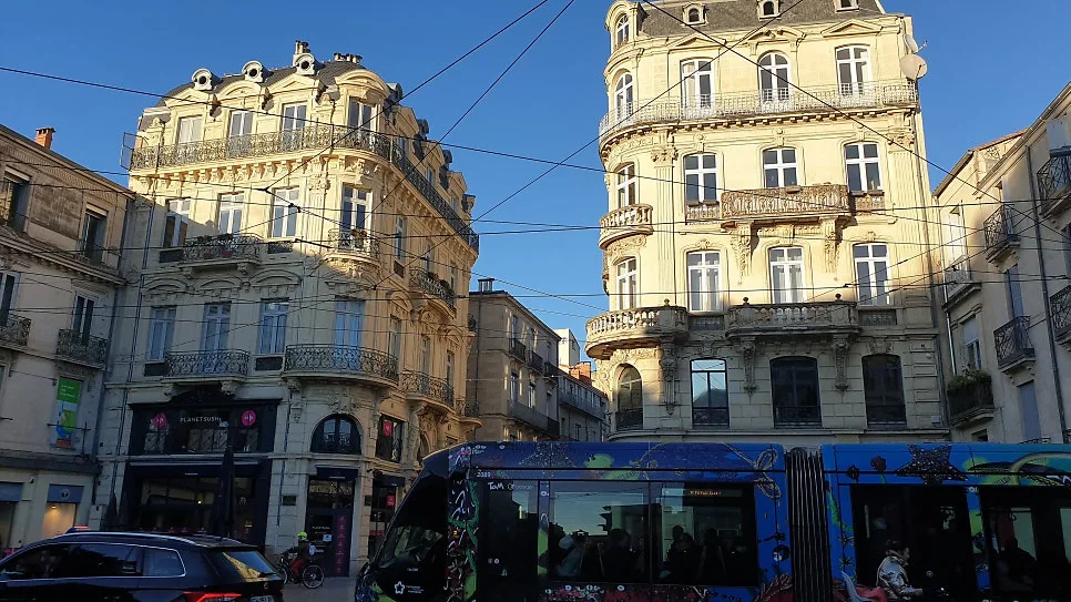 20230131_164400%EC%88%98%EC%A0%95.jpg?type=w966