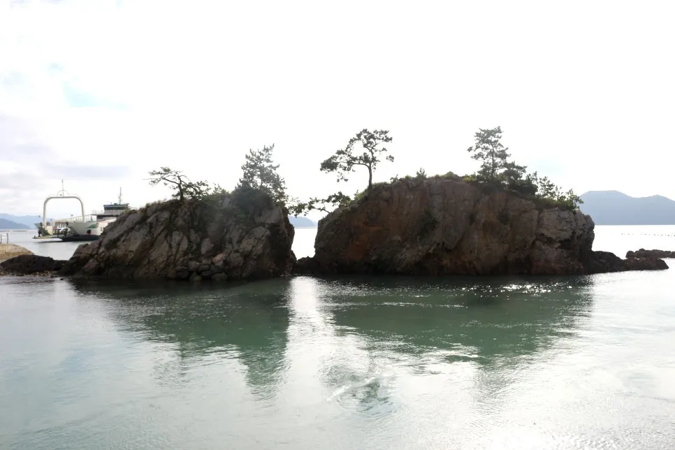 %EA%BE%B8%EB%AF%B8%EA%B8%B0%EA%BE%B8%EB%AF%B8%EA%B8%B0IMG_6543.JPG?type=w966