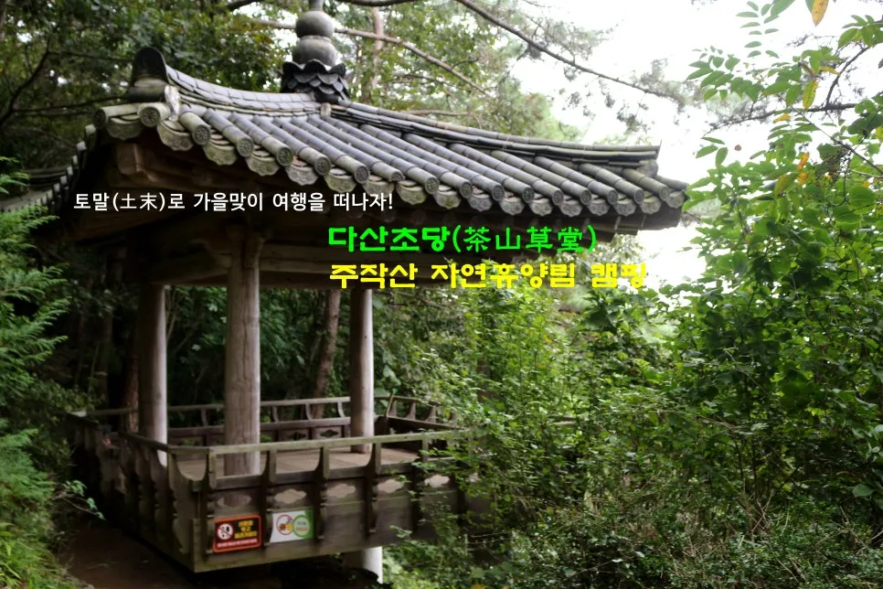 %EA%BE%B8%EB%AF%B8%EA%B8%B0IMG_6387.JPG?type=w966