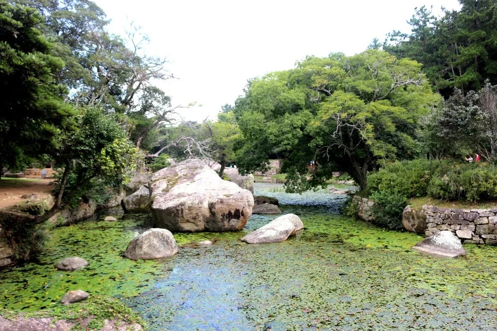 %EA%BE%B8%EB%AF%B8%EA%B8%B0%EA%BE%B8%EB%AF%B8%EA%B8%B0IMG_6576.JPG?type=w966