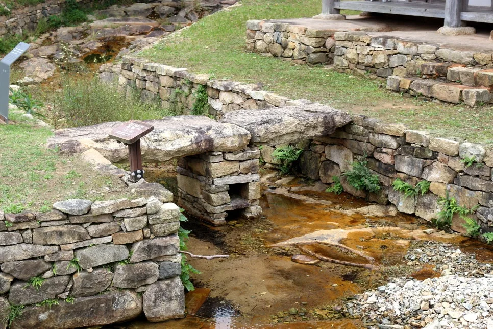 %EA%BE%B8%EB%AF%B8%EA%B8%B0%EA%BE%B8%EB%AF%B8%EA%B8%B0IMG_6638.JPG?type=w966