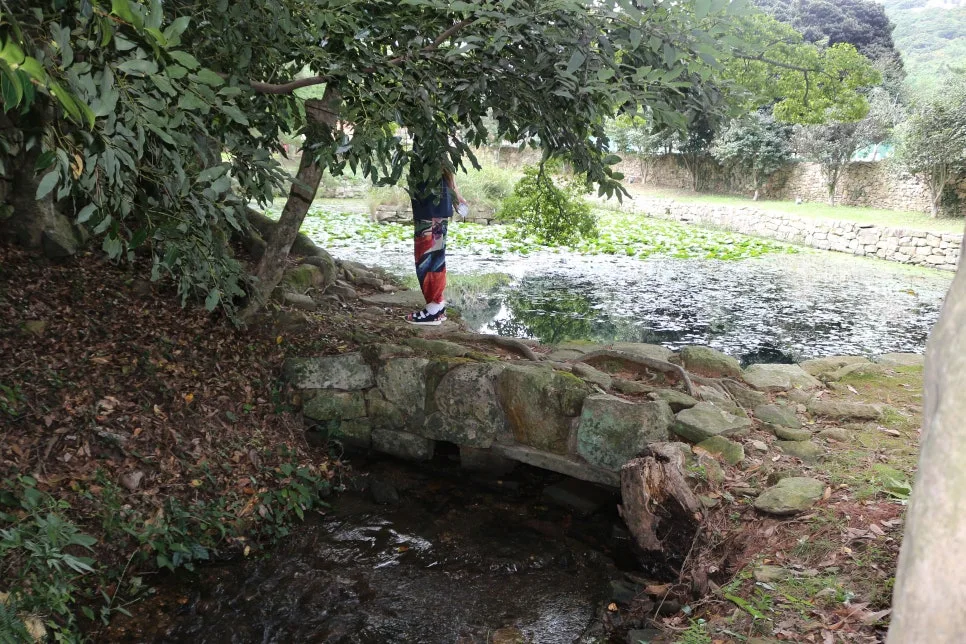 %EA%BE%B8%EB%AF%B8%EA%B8%B0%EA%BE%B8%EB%AF%B8%EA%B8%B0IMG_6610.JPG?type=w966