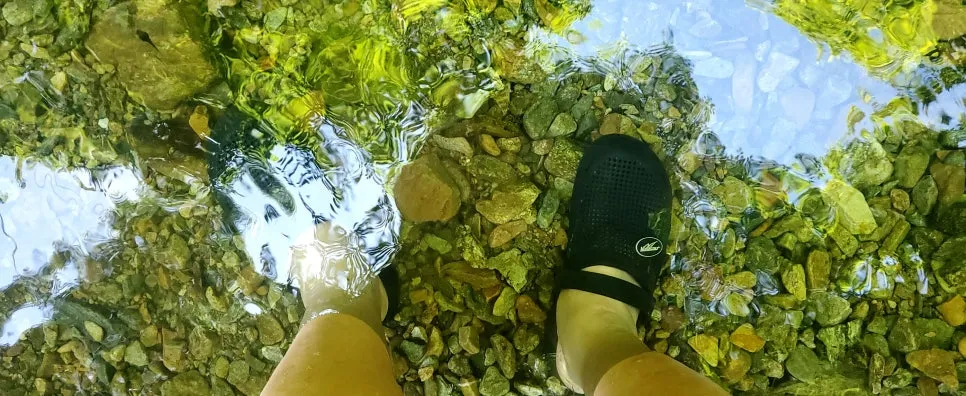 %EA%BE%B8%EB%AF%B8%EA%B8%B0%EA%BE%B8%EB%AF%B8%EA%B8%B020250712_104431.jpg?type=w966