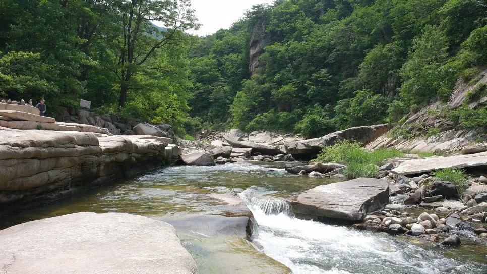 %EA%BE%B8%EB%AF%B8%EA%B8%B0%EA%BE%B8%EB%AF%B8%EA%B8%B0SAM_0090.JPG?type=w966