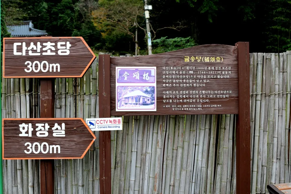 %EA%BE%B8%EB%AF%B8%EA%B8%B0IMG_6370.JPG?type=w966