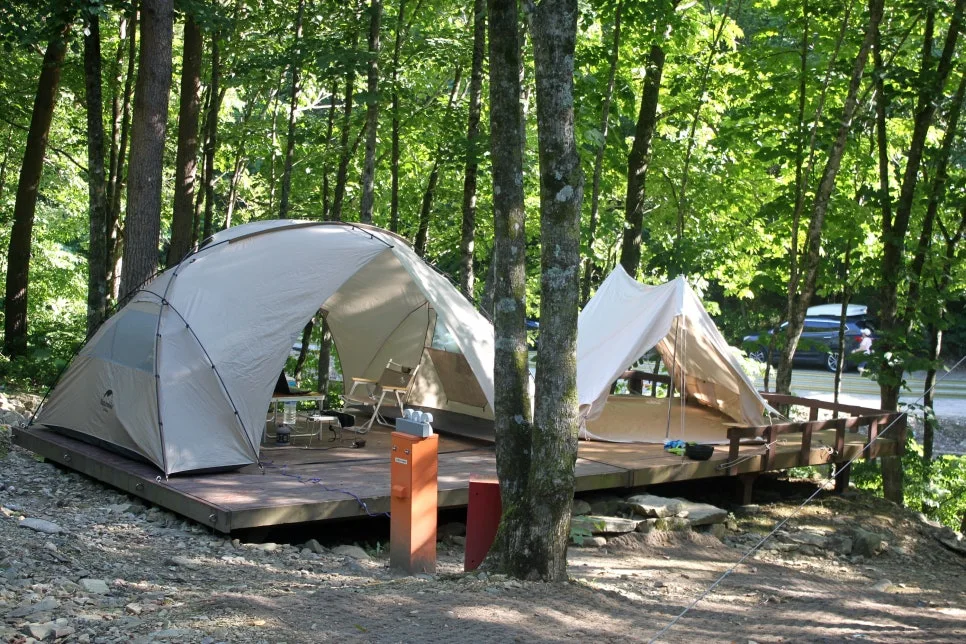 %EA%BE%B8%EB%AF%B8%EA%B8%B0%EA%BE%B8%EB%AF%B8%EA%B8%B0IMG_8633.JPG?type=w966