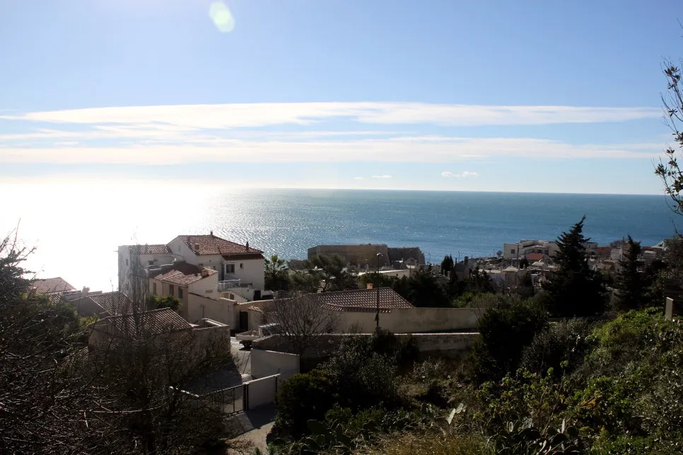 IMG_6635%EC%88%98%EC%A0%95.JPG?type=w966