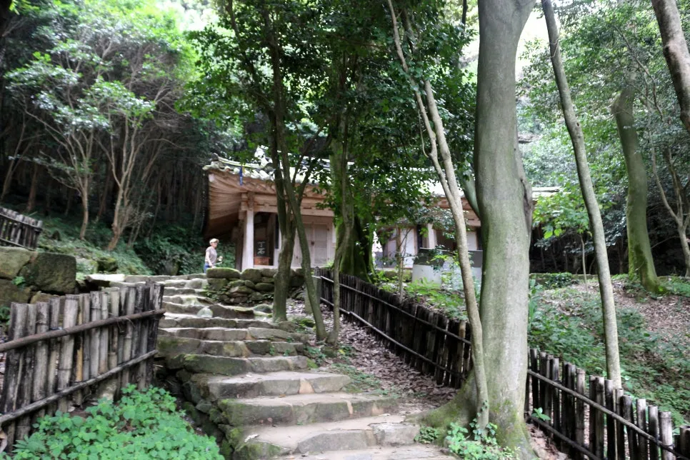 %EA%BE%B8%EB%AF%B8%EA%B8%B0IMG_6407.JPG?type=w966