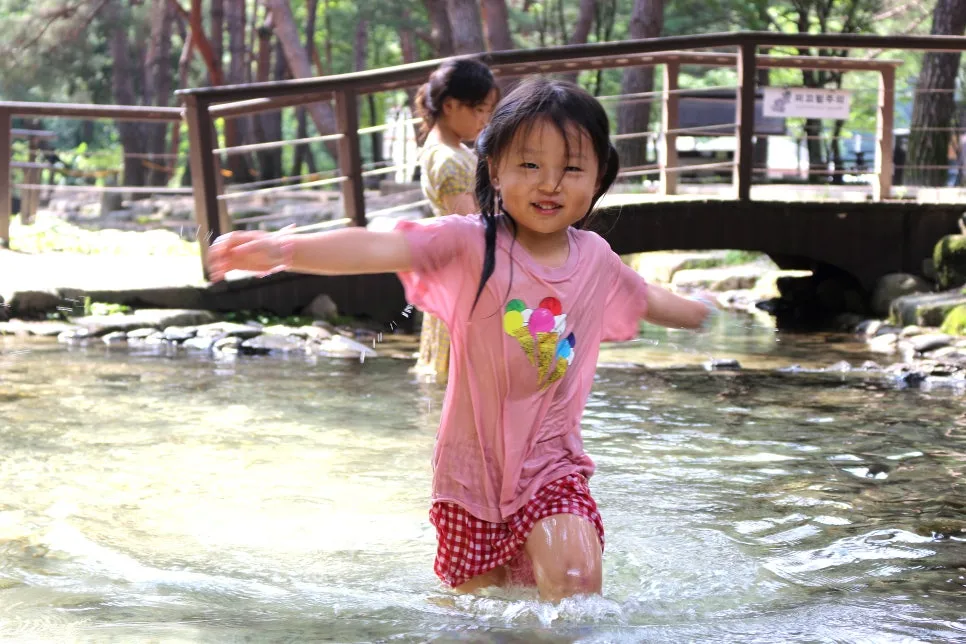 %EA%BE%B8%EB%AF%B8%EA%B8%B0IMG_6097.JPG?type=w966