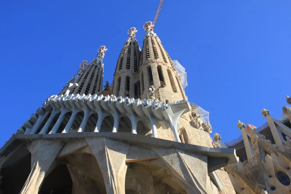 %EA%BE%B8%EB%AF%B8%EA%B8%B0IMG_7152.JPG?type=w966