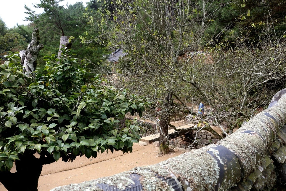 img.jpg?credential=yqXZFxpELC7KVnFOS48ylbz2pIh7yKj8&expires=1761922799&allow_ip=&allow_referer=&signature=%2B097oIStDaa1N4oJvXLkUZcQQt4%3D