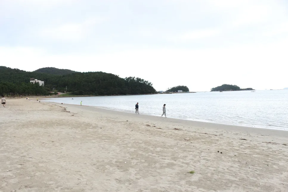 %EA%BE%B8%EB%AF%B8%EA%B8%B0%EA%BE%B8%EB%AF%B8%EA%B8%B0IMG_6450.JPG?type=w966