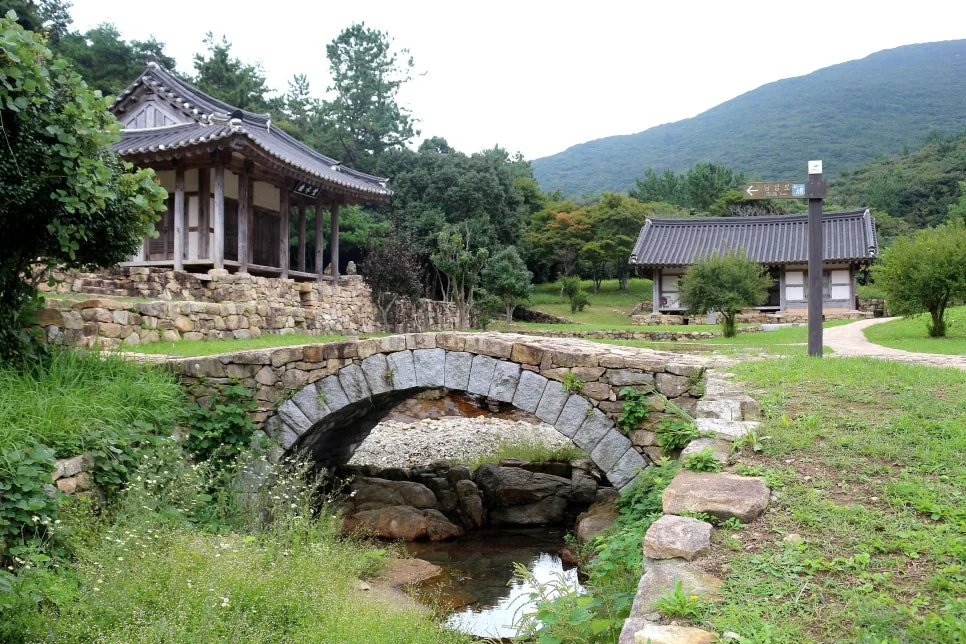 %EA%BE%B8%EB%AF%B8%EA%B8%B0%EA%BE%B8%EB%AF%B8%EA%B8%B0IMG_6651.JPG?type=w966