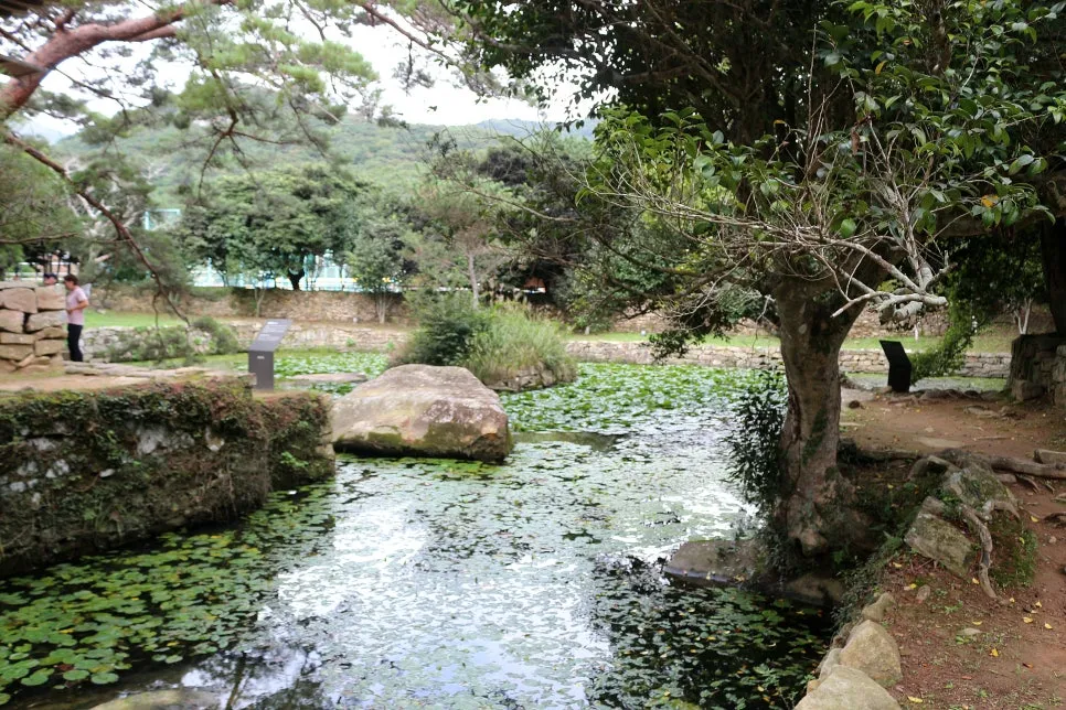 %EA%BE%B8%EB%AF%B8%EA%B8%B0%EA%BE%B8%EB%AF%B8%EA%B8%B0IMG_6612.JPG?type=w966