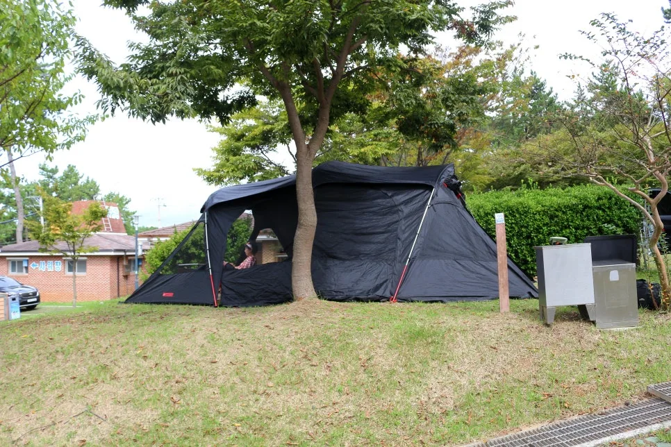 %EA%BE%B8%EB%AF%B8%EA%B8%B0%EA%BE%B8%EB%AF%B8%EA%B8%B0IMG_6439.JPG?type=w966