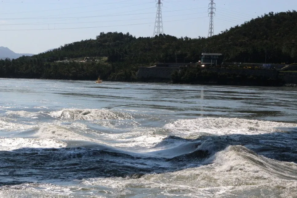 %EA%BE%B8%EB%AF%B8%EA%B8%B0IMG_6983.JPG?type=w966