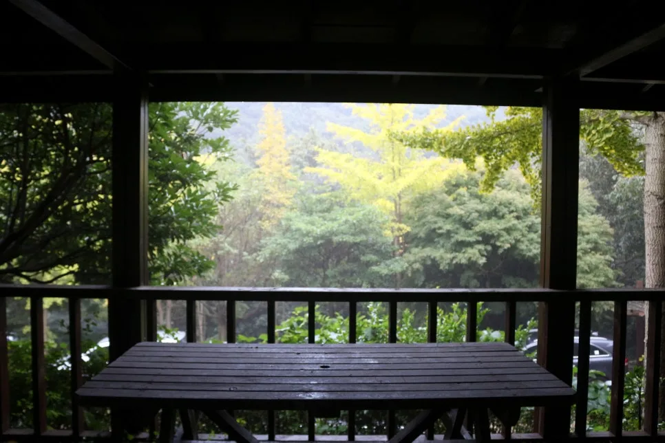 %EA%BE%B8%EB%AF%B8%EA%B8%B0IMG_6424.JPG?type=w966