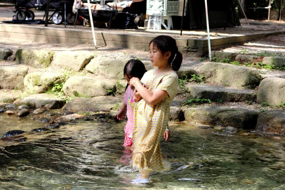 %EA%BE%B8%EB%AF%B8%EA%B8%B0IMG_6094.JPG?type=w966