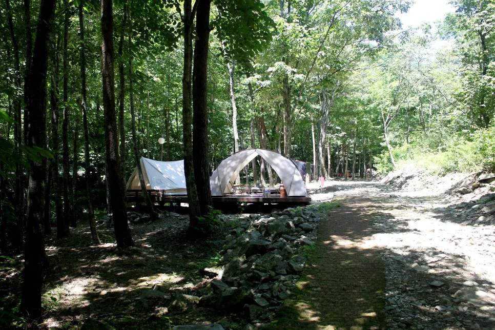 %EA%BE%B8%EB%AF%B8%EA%B8%B0%EA%BE%B8%EB%AF%B8%EA%B8%B0IMG_8585.JPG?type=w966