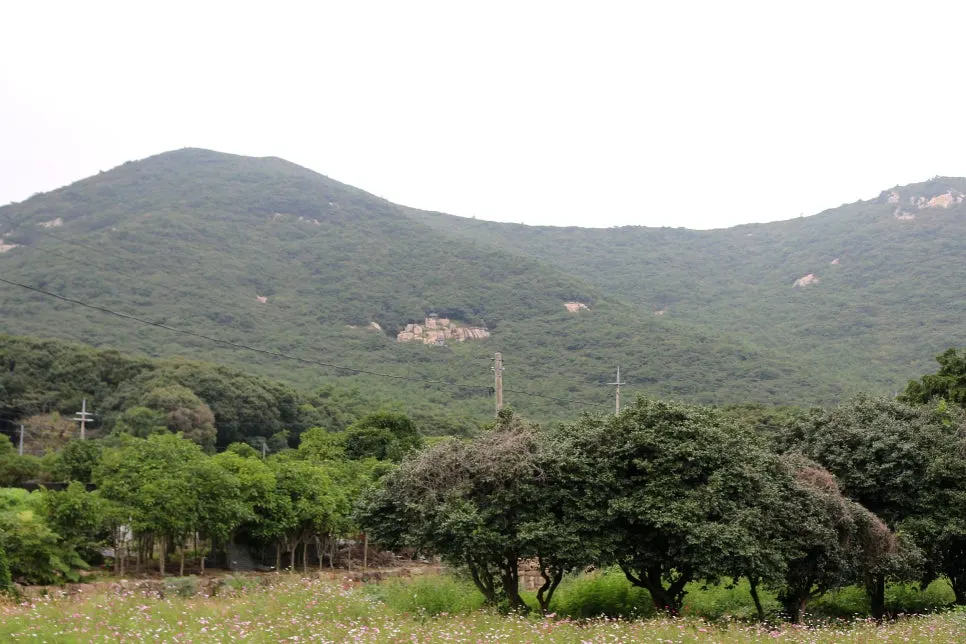 %EA%BE%B8%EB%AF%B8%EA%B8%B0%EA%BE%B8%EB%AF%B8%EA%B8%B0IMG_6653.JPG?type=w966