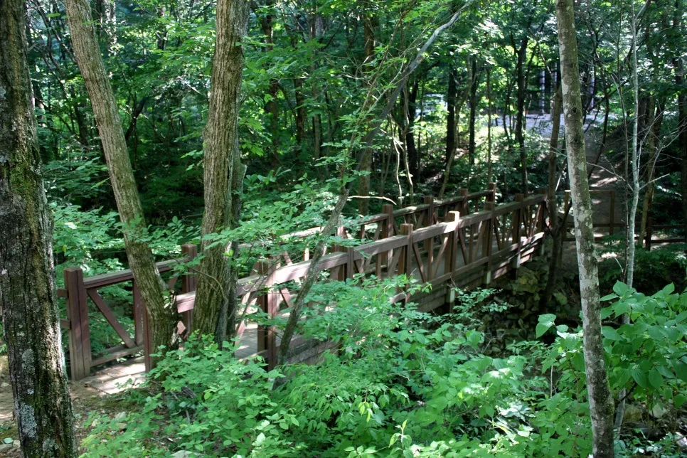 %EA%BE%B8%EB%AF%B8%EA%B8%B0%EA%BE%B8%EB%AF%B8%EA%B8%B0IMG_8618.JPG?type=w966